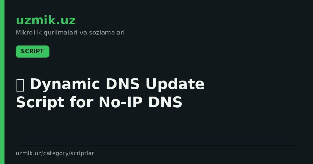🌐 Dynamic DNS Update Script for No-IP DNS